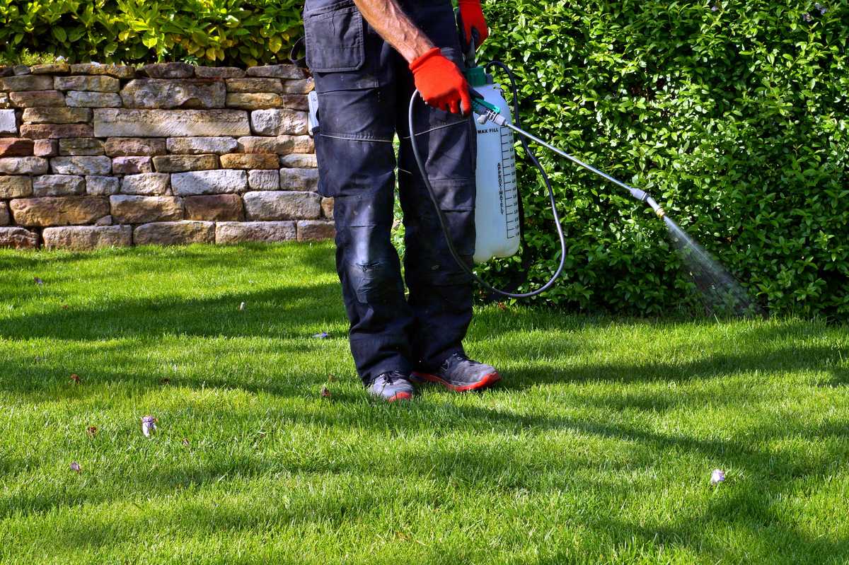 Roudabush Lawn Care, Weed Control Service