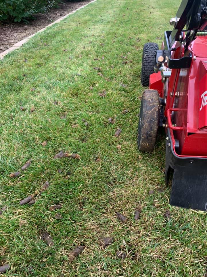 Aeration and Overseeding