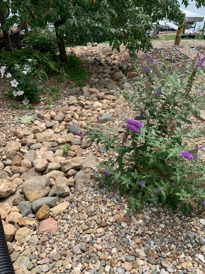 Landscaping and Maintenance
